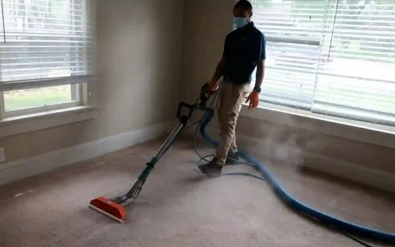 Carpet Cleaning